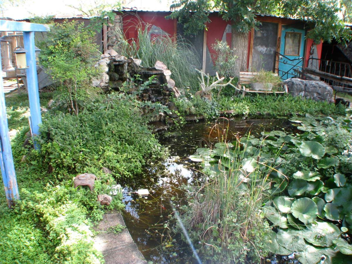 Rodeo Mountain Valley Lodge מראה חיצוני תמונה