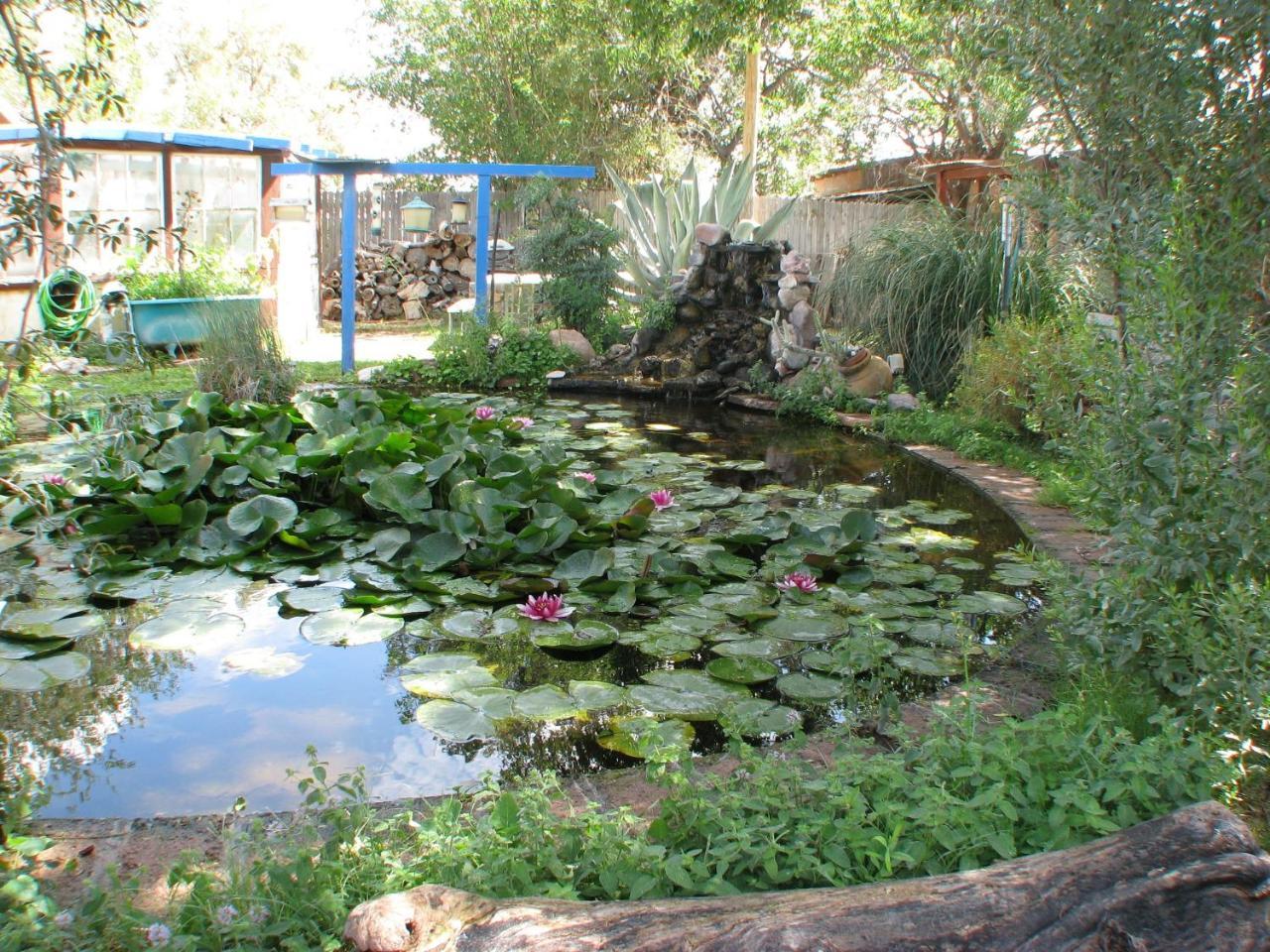Rodeo Mountain Valley Lodge מראה חיצוני תמונה
